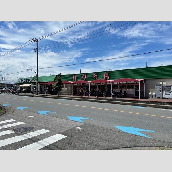 アウレスト202号室 ヤオヒロ小泉店