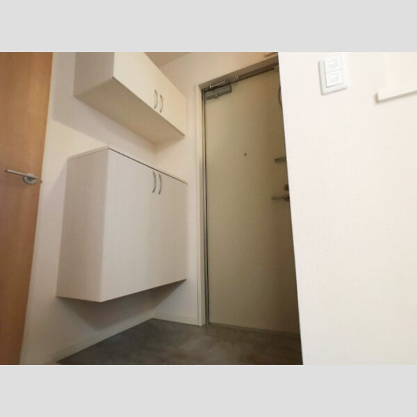 ロイジェントパークス レイクタウン Ⅱ　G203号室 玄関