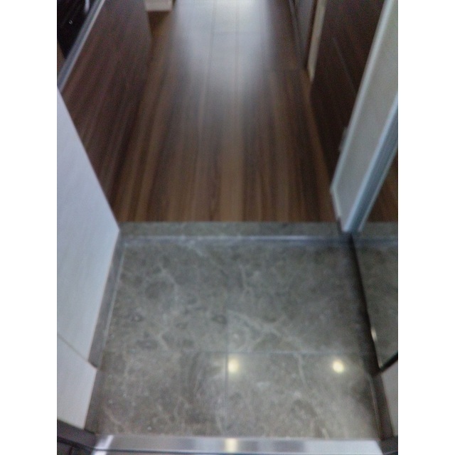 ロアール川崎大師3階 玄関