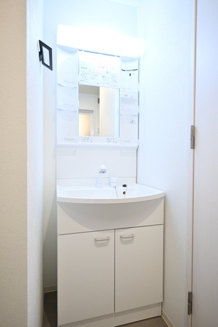 フェリデンシア御嶽山3階 洗面