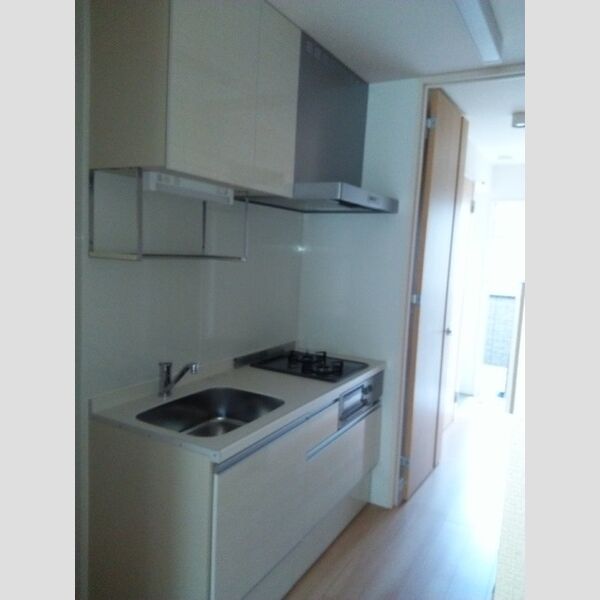 ポルト セレーノ203号室 システムキッチン