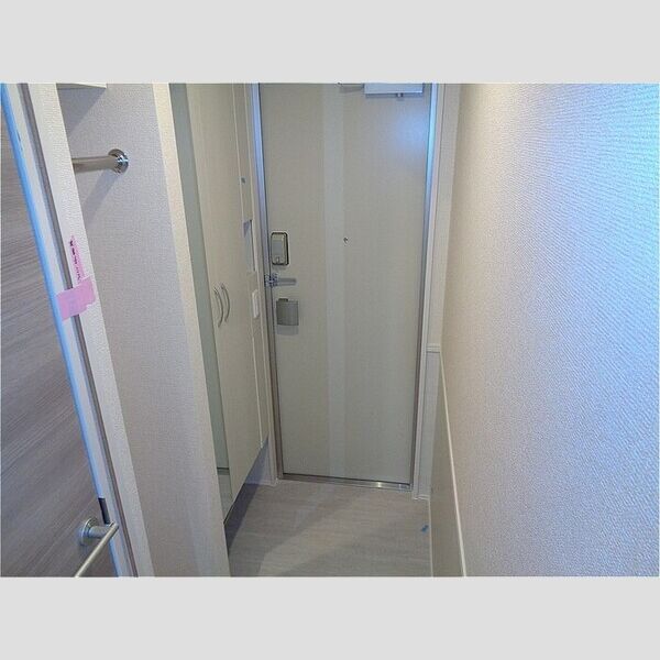 fortuneXI　(フォーチュンイレブン)205号室 玄関