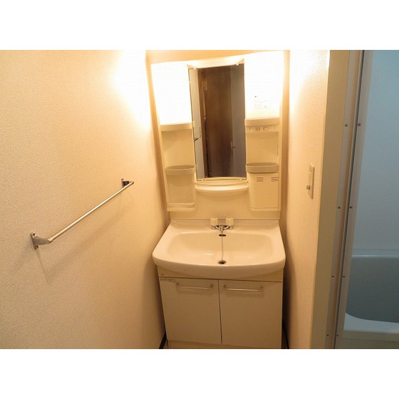 モノリス・ワン0208号室 独立洗面台