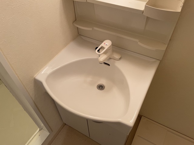 フォレスト柳沢0303号室 洗面