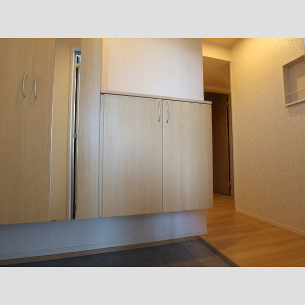 コンフォート プラス・T201号室 玄関