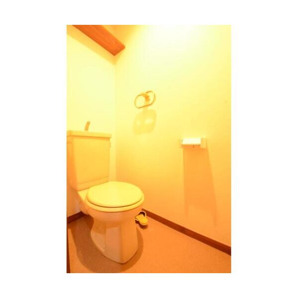 綾東ヴィレッジ弐番館502号室 トイレ