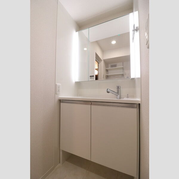 Noble Palais 針ヶ谷302号室 洗面