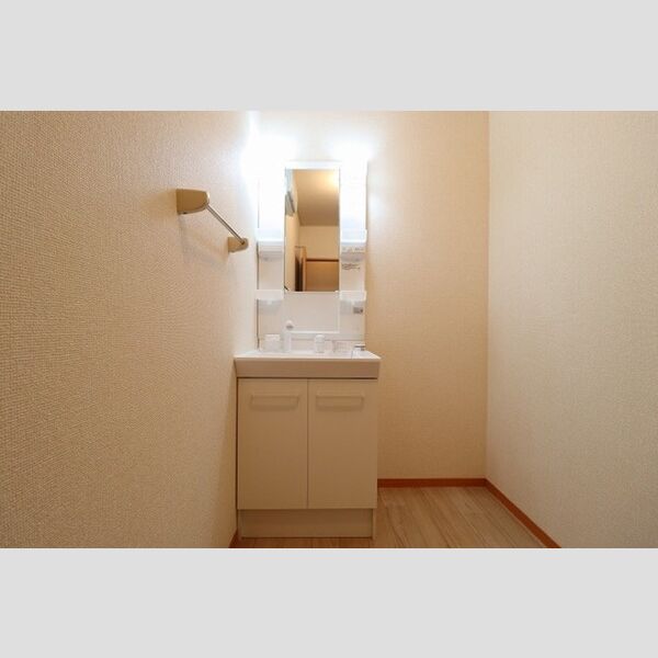 ロイヤルガーデン　B101号室 洗髪洗面化粧台