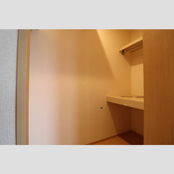 プランドール柴又301号室 ウオークインクローゼット