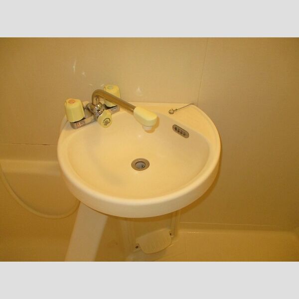 ロイヤルハイツ大澤110号室 洗面台