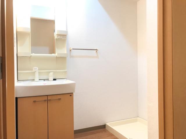 シンフォニー105号室 洗面