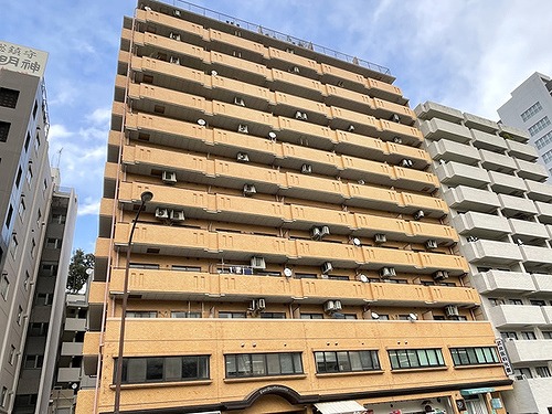 ライオンズプラザお茶の水11階 建物外観