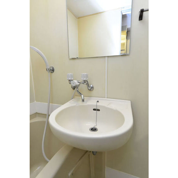 パンシオン　渋沢No.1 洗面