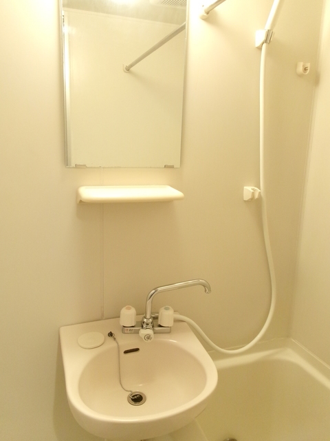 ロイヤルコート北野0211号室 洗面