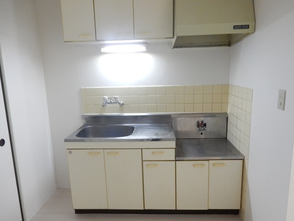 メゾン杉山V201号室 キッチン