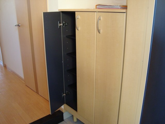 アメニティ　ヒルズ203号室 シューズボックス