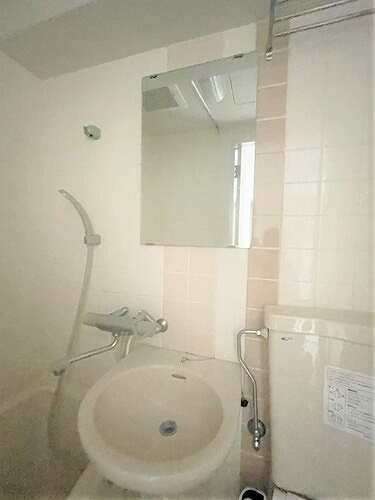 ライオンズマンションときわ台 洗面所