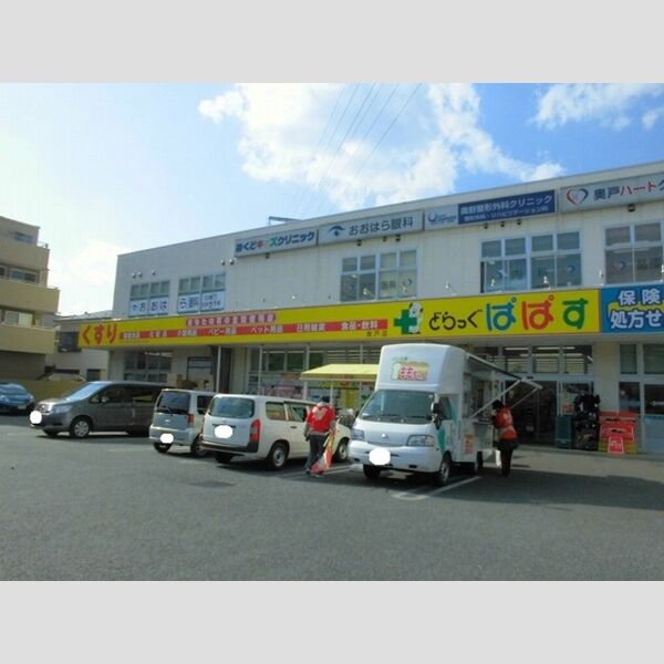 グランド　パレス　オクド103号室 どらっぐぱぱす奥戸店まで350m