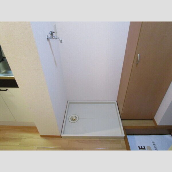 ヒルサイドテラス106号室 室内洗濯機置き場