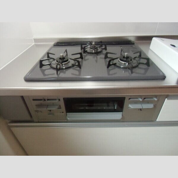 メゾンドール諏訪坂Ⅲ102号室 部屋その他