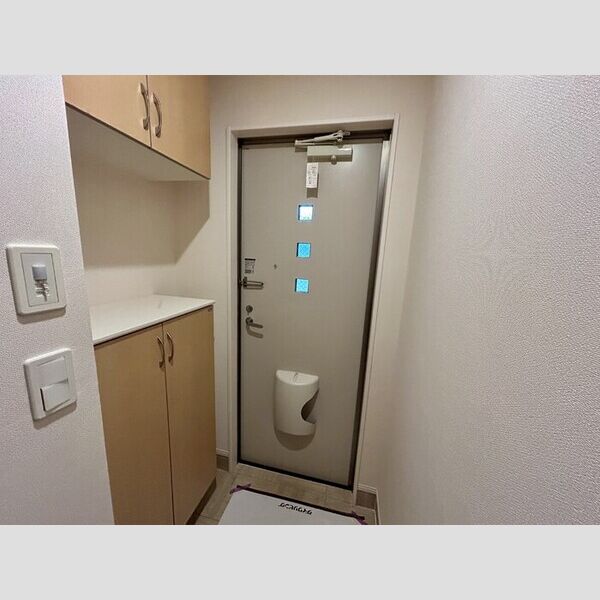 リーセント・メゾンS202号室 玄関