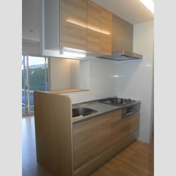 プレミール・イダⅡ102号室 102　対面キッチン