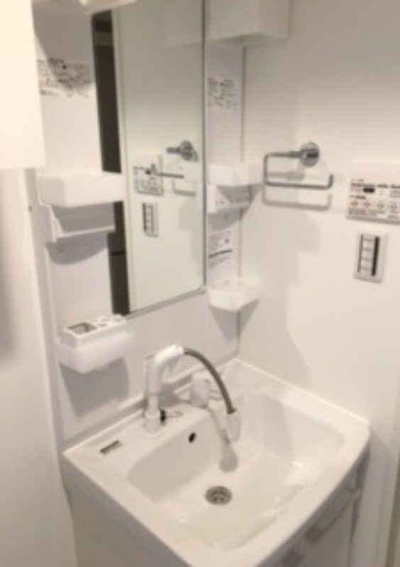 スカイコート川崎京町 洗面