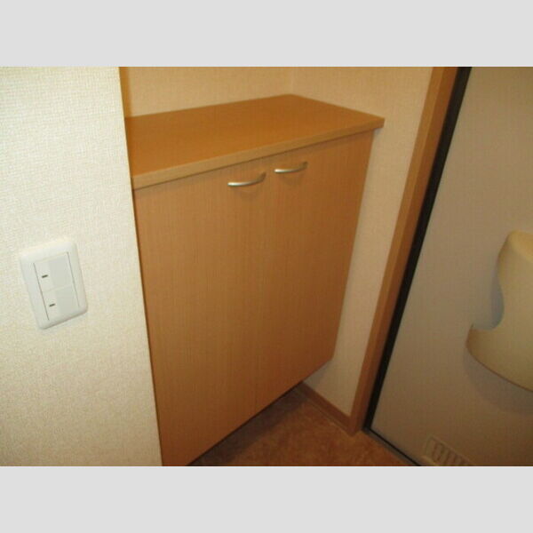 サニーコーポ富士見C205号室 シューズボックス