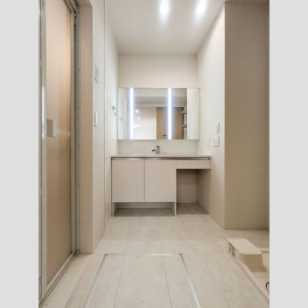 Dアヴァンス登戸町 洗面