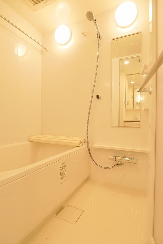 ＴＨＥ　ＰＲＥＭＩＵＭ　ＣＵＢＥ　Ｇ　大崎4階 内観