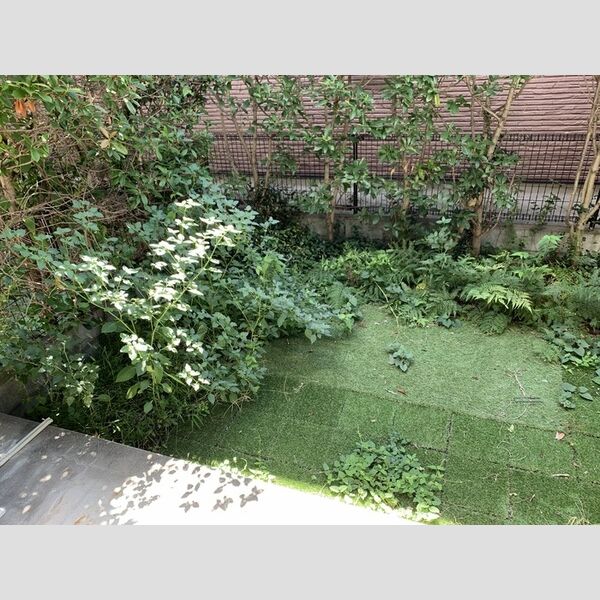 メゾンプルミエール5号室 専用庭