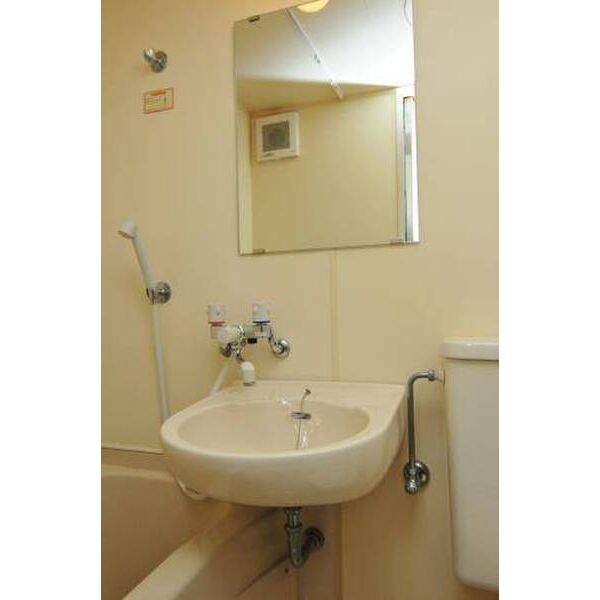 メゾン・ド・ポルシュ0503号室 洗面