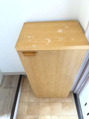 ラフォーレ相武台302号室 収納