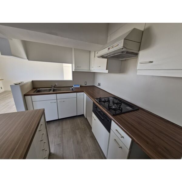 田園マンション309号室 部屋その他