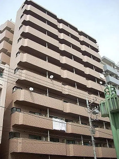 日神パレステージ石川町の外観画像