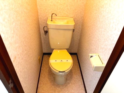 テラストーク相模原201号室 トイレ