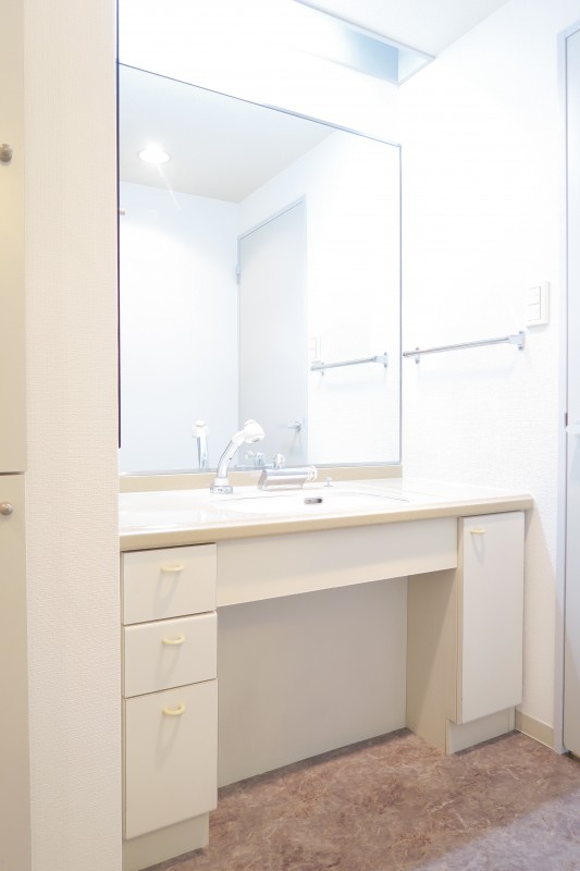 T's garden府中5階 洗面