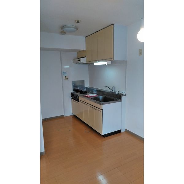 ドエル習志野台401号室 部屋その他