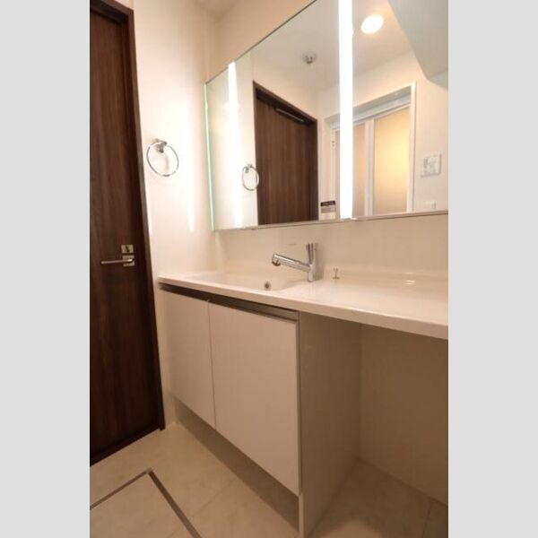 グラナーデ東葛西201号室 洗髪洗面化粧台