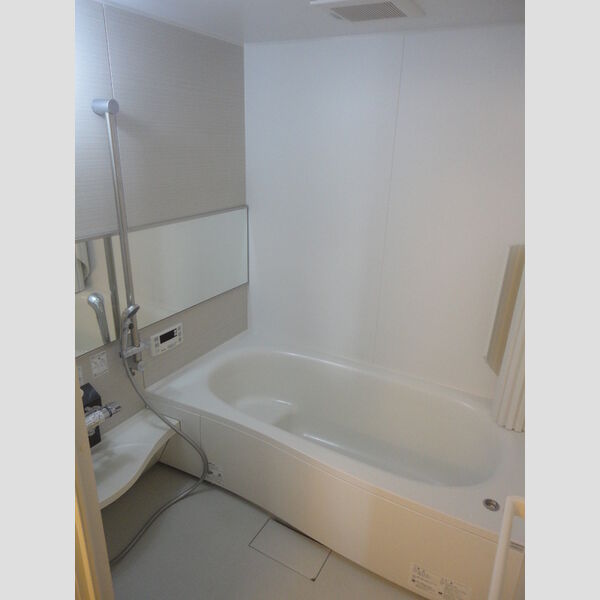 メゾンドール305号室 浴室