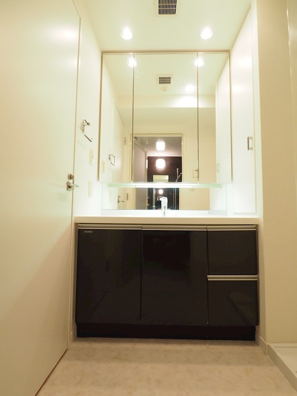 パークフラッツ学芸大学5階 洗面