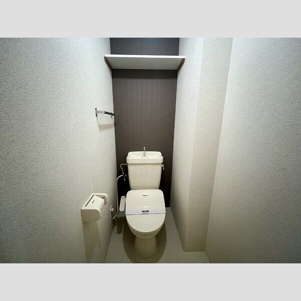 コーポラスクレイン トイレ