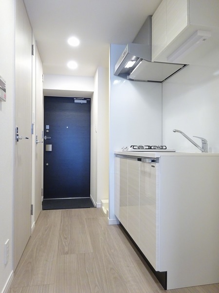 ザ・レジデンス・オブ・トーキョーＨ２０イーストタワー501号室 その他