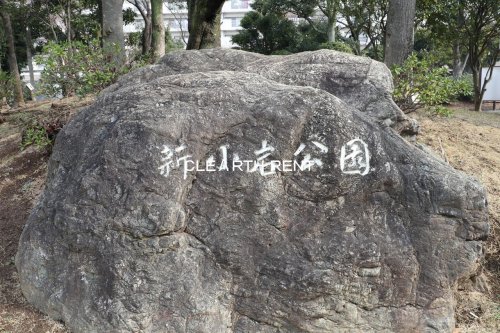 ＴＨＥ ＰＡＳＥＯ新小岩Ⅱ 【公園】新小岩公園まで1299ｍ