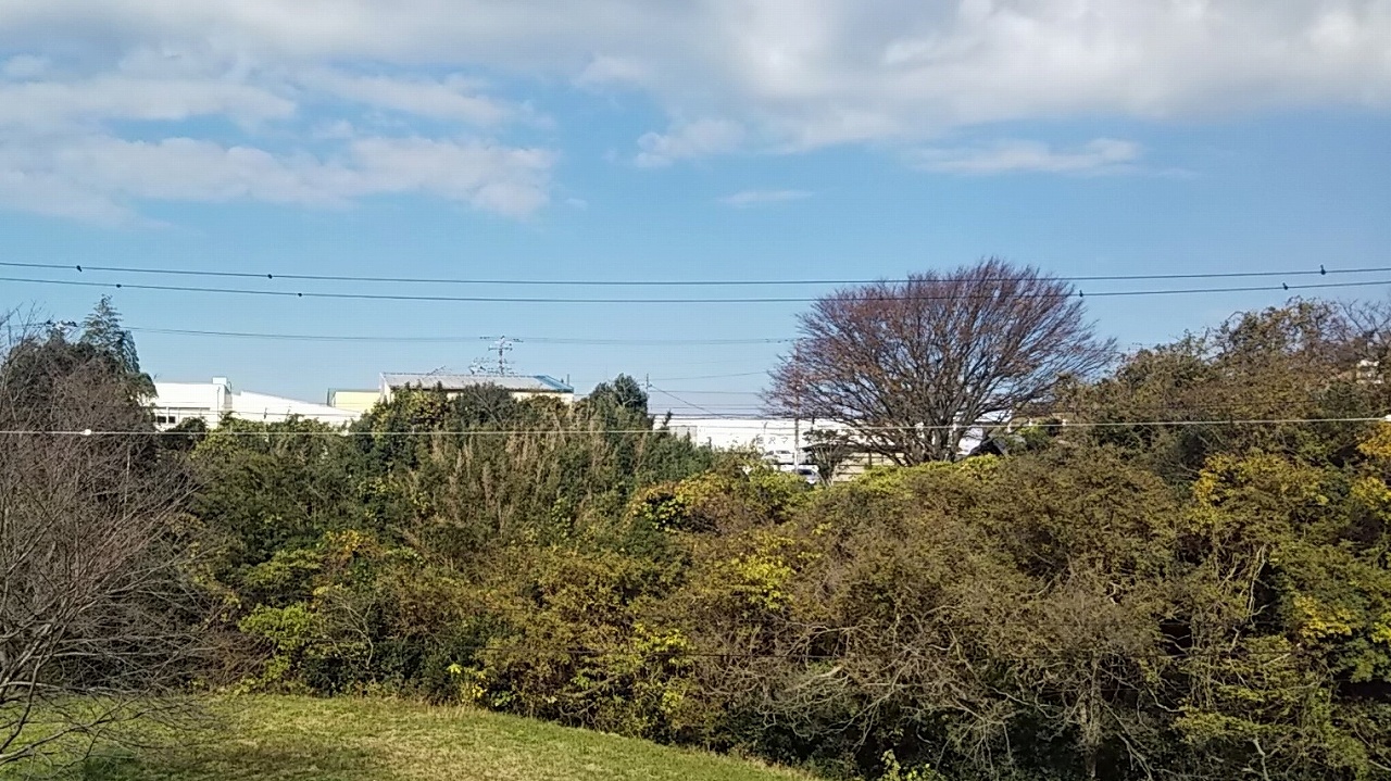 レオパレスオークヒルズⅡ102号室 部屋その他