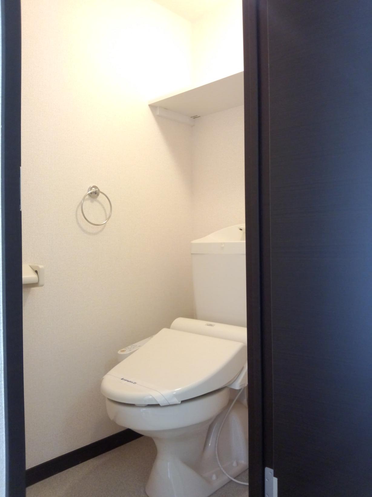 レオネクストふじみ野ヒルズ303号室 部屋その他