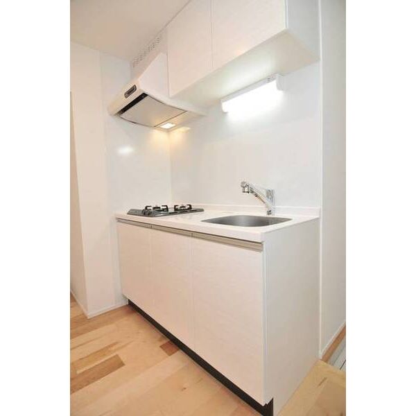 BellaDomani桜新町0105号室 キッチン