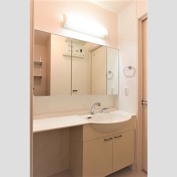 フラッツ酒井根　Ⅱ号棟 洗髪洗面化粧台