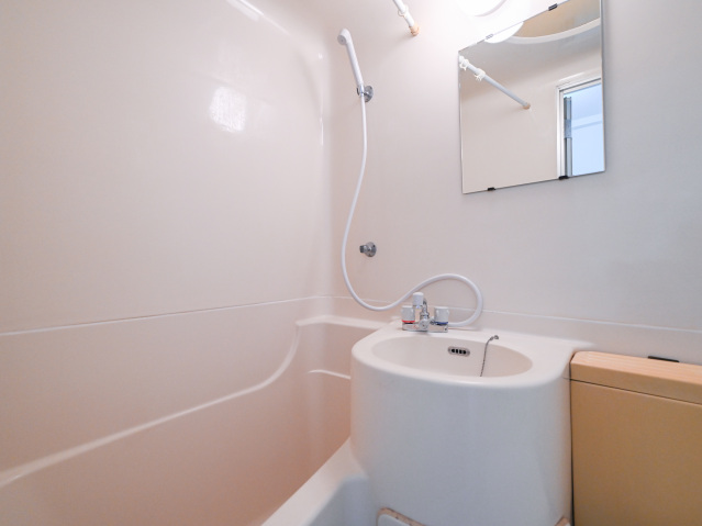 ポートハイム第1吉野町307号室 洗面