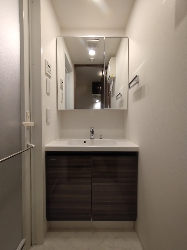 DIPS高田馬場駅前2階 洗面